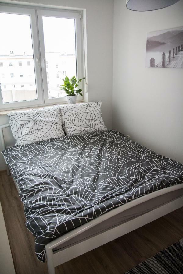 Apartament F&J Stary Toruń Eksteriør bilde